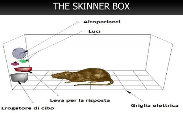 comunicazione attiva: il paradigma di skinner