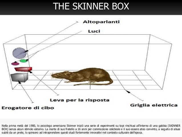 comunicazione attiva: il paradigma di skinner